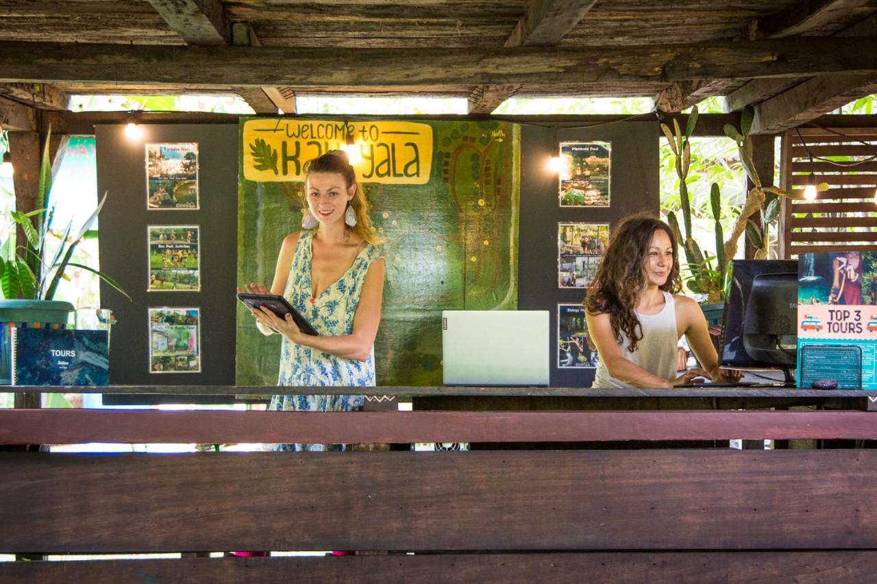 The Jungle Lodge At Kalu Yala Panama by Eksteriør bilde