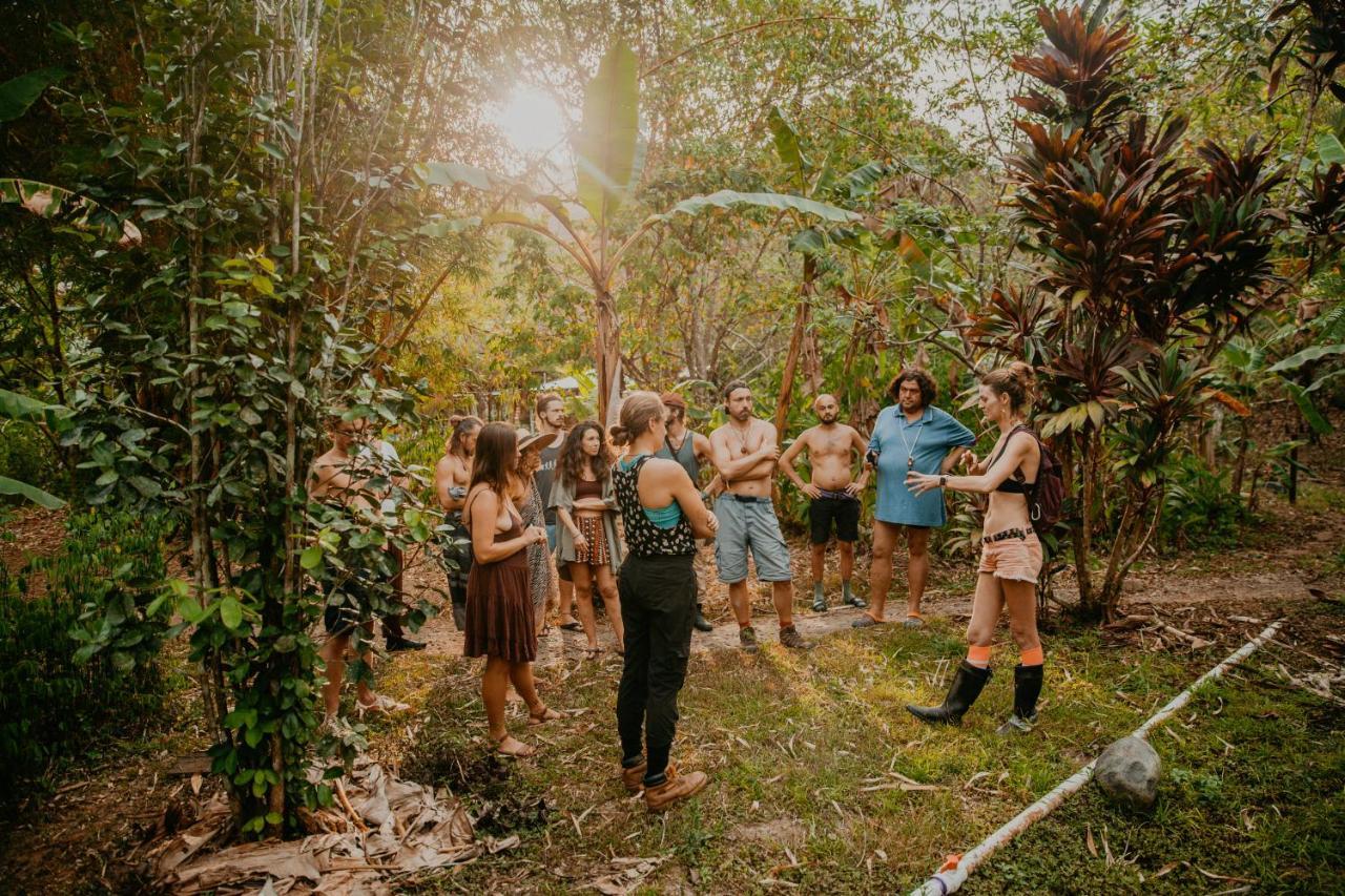 The Jungle Lodge At Kalu Yala Panama by Eksteriør bilde
