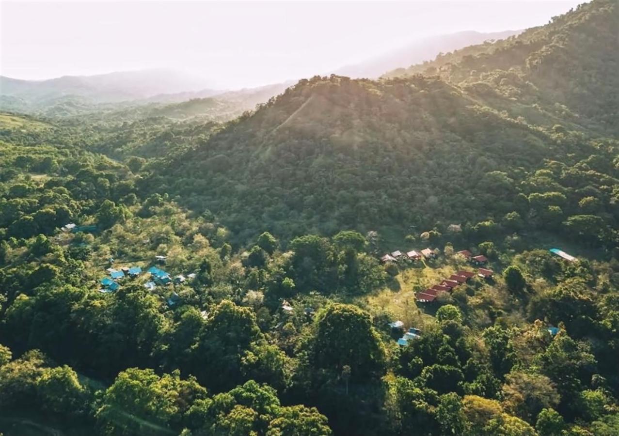 The Jungle Lodge At Kalu Yala Panama by Eksteriør bilde