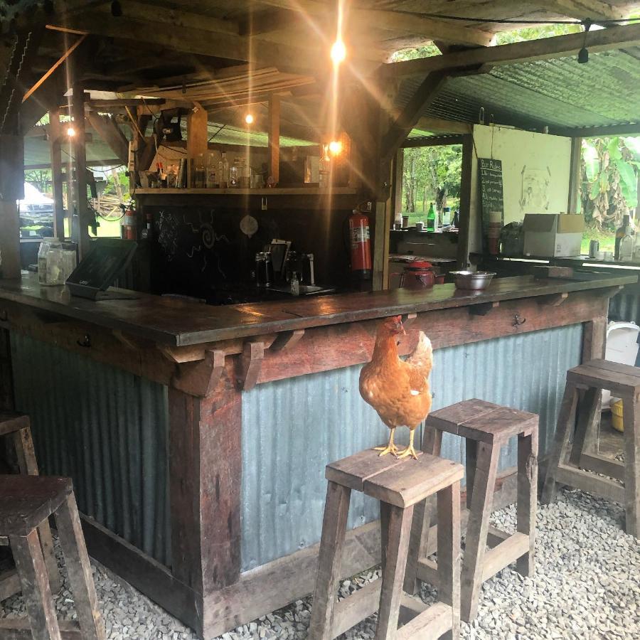 The Jungle Lodge At Kalu Yala Panama by Eksteriør bilde