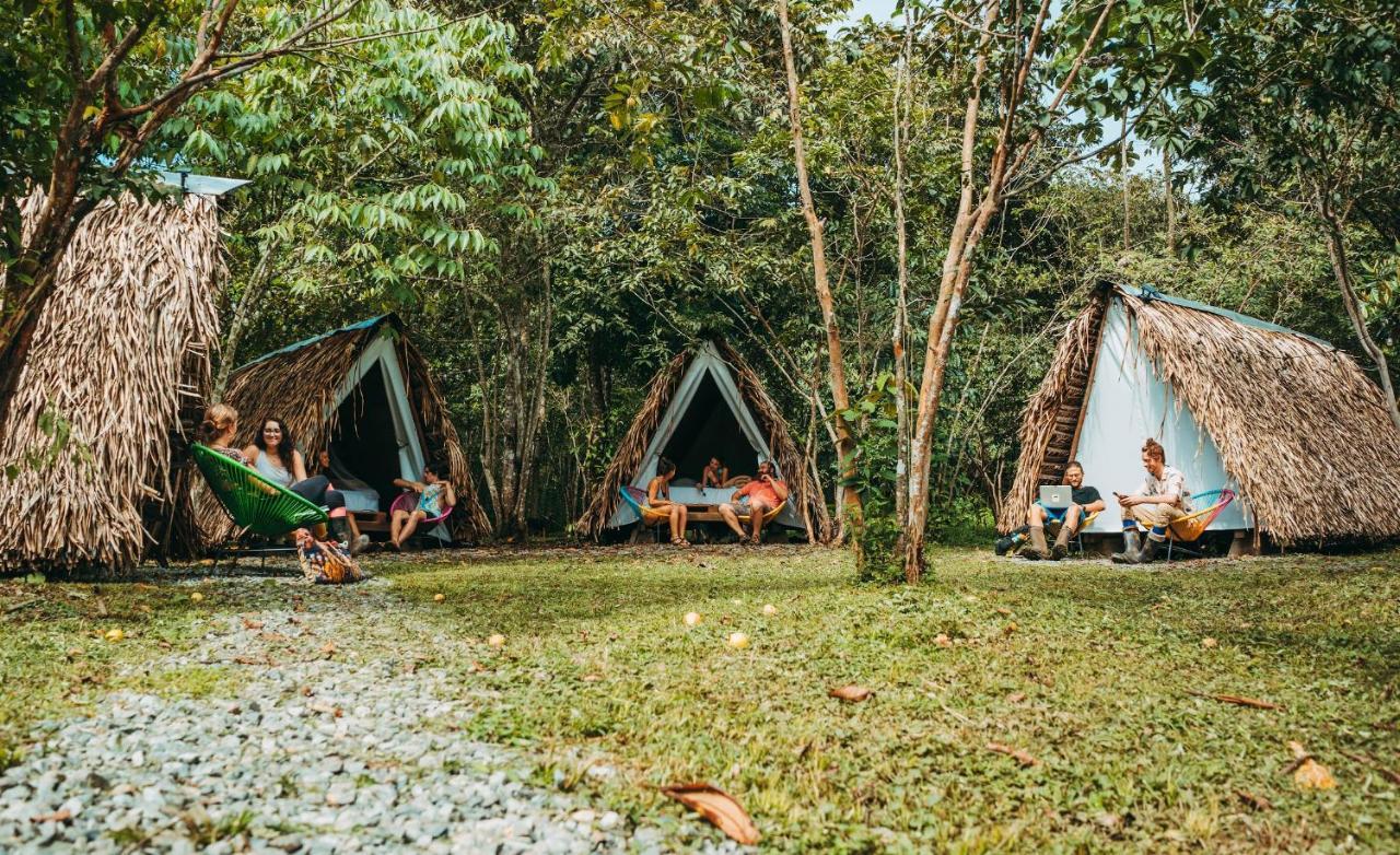 The Jungle Lodge At Kalu Yala Panama by Eksteriør bilde