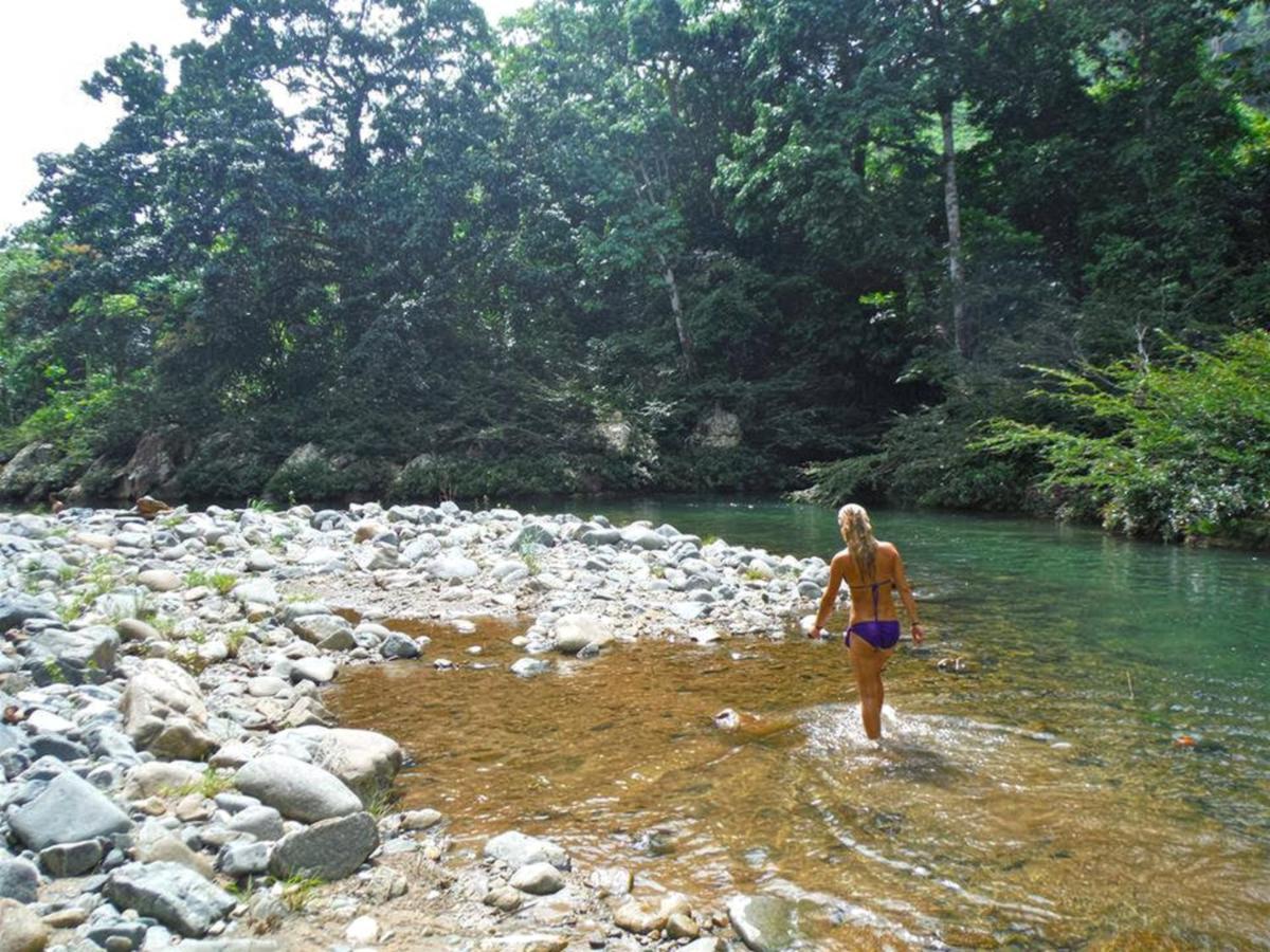 The Jungle Lodge At Kalu Yala Panama by Eksteriør bilde