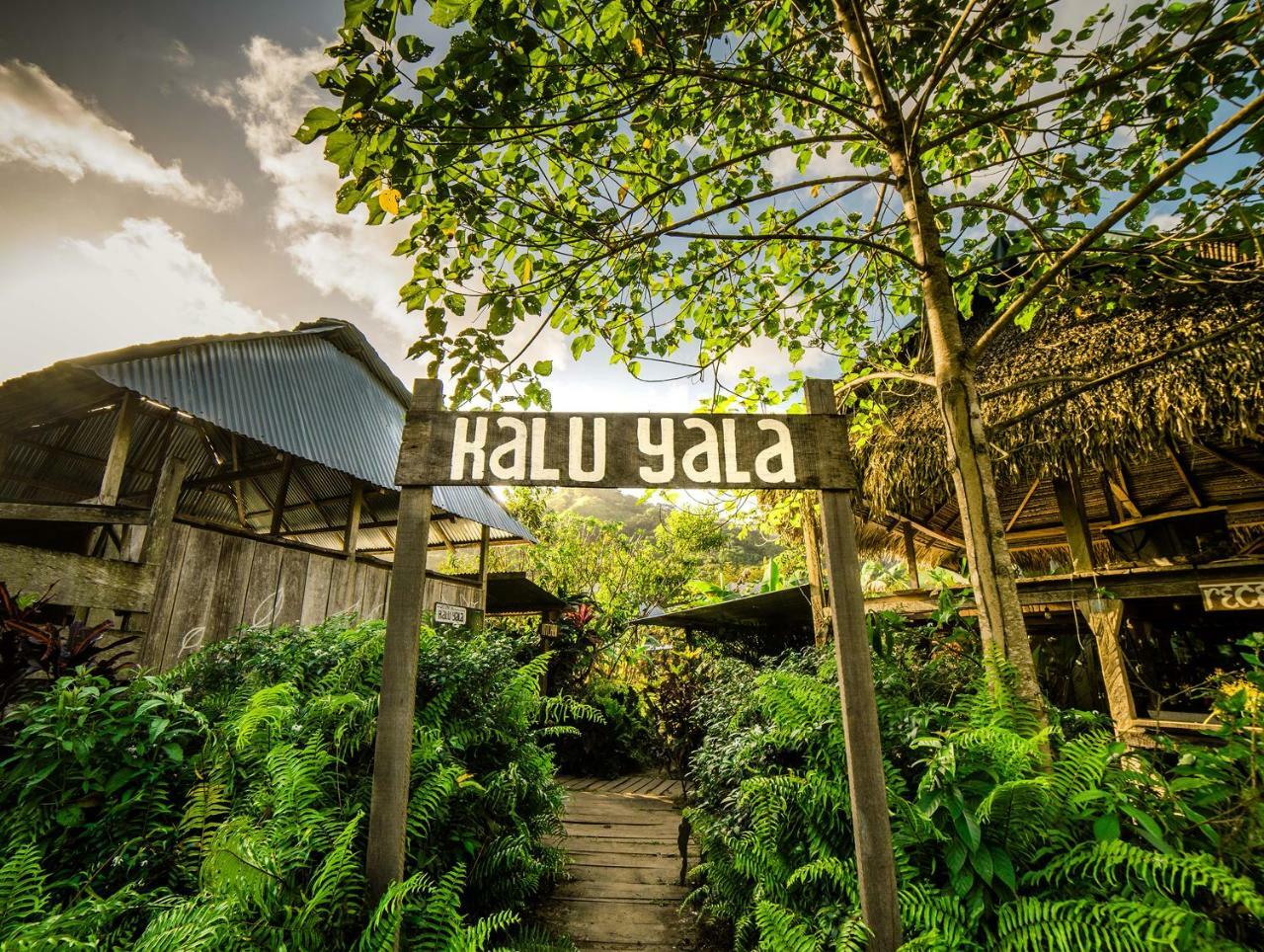 The Jungle Lodge At Kalu Yala Panama by Eksteriør bilde